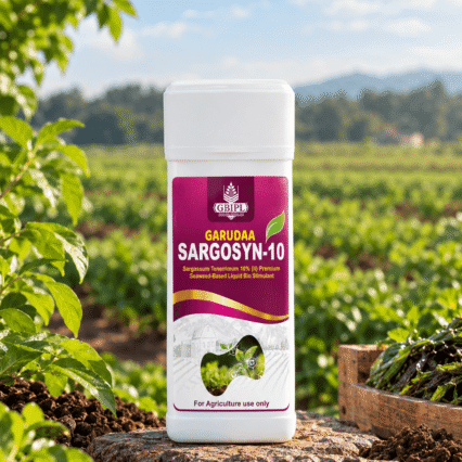 SARAGASSUM TENERRIMUM 10%