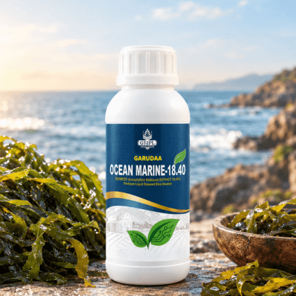 SEEWEED (ASCOPHYLLUM NODOSUM) EXRACT 18.40%