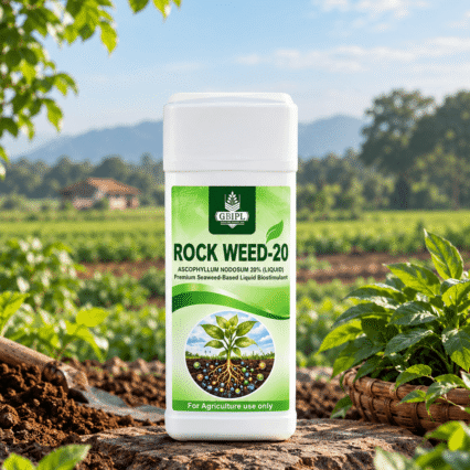 ASCOPHYLLUM NODOSUM 20%