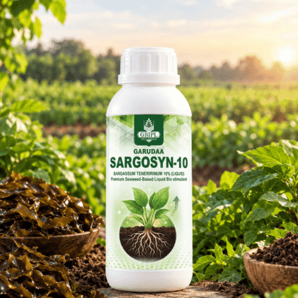 SARAGASSUM TENERRIMUM 10% (II)